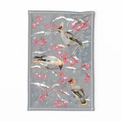 Waxwing Tea towel2