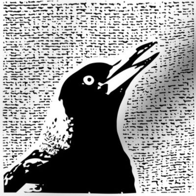 Magpie talk cartoon large