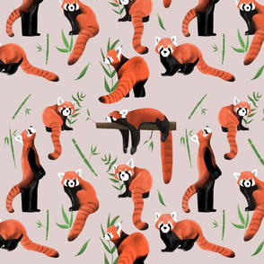 Red panda pattern 