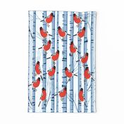 Wild Red Birds and Blue Birch Trees