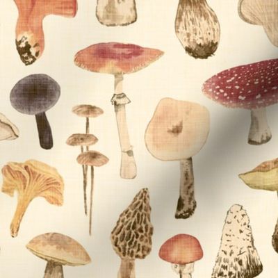 (MEDIUM) Mushroom Season in retro style