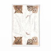 Owls in Winter tea towel
