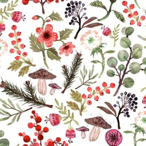 Winter botanicals florals watercolor flowers