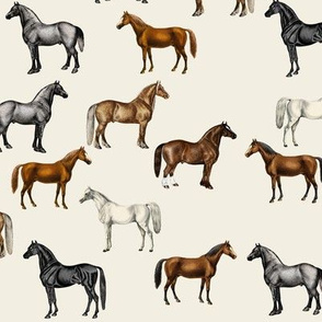 Vintage Horses, Hand Coloured // standard