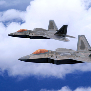 93-24  Pair of USAF F-22 Raptors