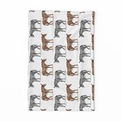 2 donkeys 6x6 tea towel