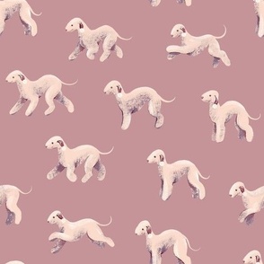 Bedlington Terriers on mauve