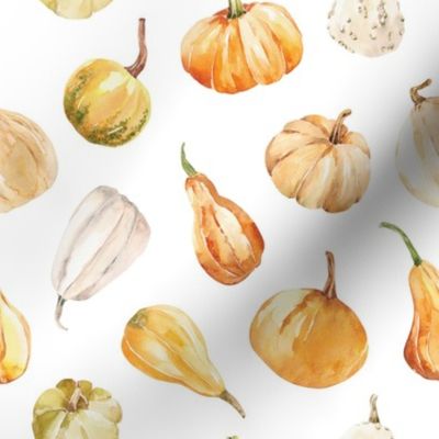 Fall Gourds / White