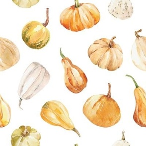 Fall Gourds / White