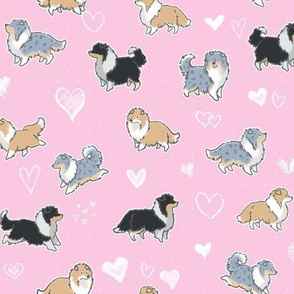 The Rough Collie - Pink