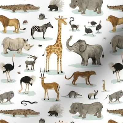 African Animals  {small}