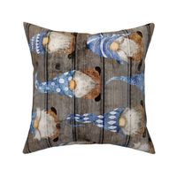 Blue Gnomes on Barn Wood rotated - large scale