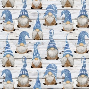 Blue Gnomes on Shiplap - medium scale