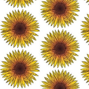 sunflower-stylized-no-sig