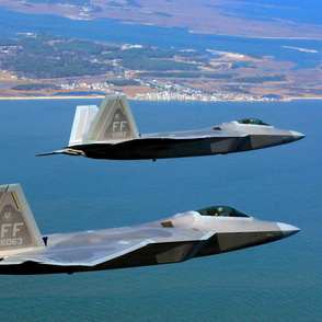 95-14  Pair of US Air Force F-22 Raptors