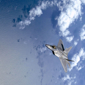 F-22 Raptor Fabric, Wallpaper and Home Decor | Spoonflower