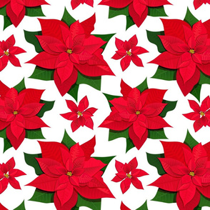 red poinsettia pattern