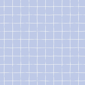 Graph Paper Grid - White on Blue