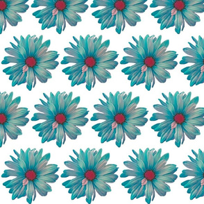 Daisy Teal White small