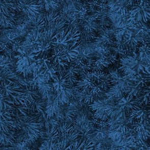 Frosty Spruce Texture Medium Blue