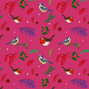 Robin bird,birds pattern 