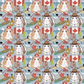 small guinea pigs in Canada on blue