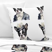 Boston Terrier Dog Old West lady wife