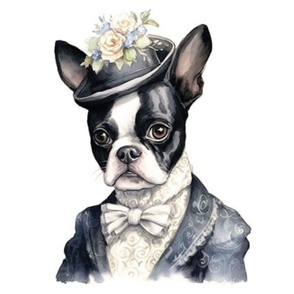 Boston Terrier Dog Old West lady wife