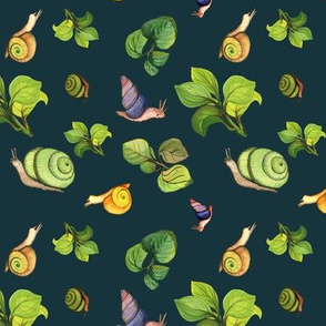 Snails and leaves
