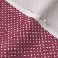 Burgandy Polka Dots
