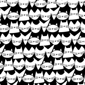 cats - jelly cats white and black - hand-drawn cats