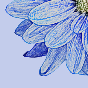 Daisy Blue White Line Drawing