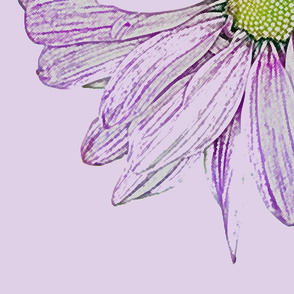 Daisy Lavender White Line Drawing
