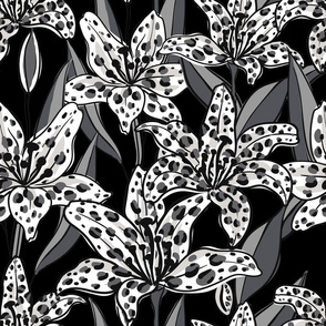 Black & White Leopard Lily