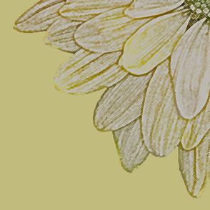 Daisy Yellow Line Drawing
