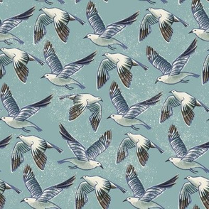 regular scale seagulls in flight / grey blue