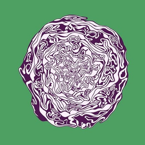 Purple Cabbage on Greenbean