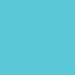Solid Color Coordinate - Winterberry Charm - Sky Blue #5ac8d7 