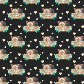 Nap time Yorkie pattern black S