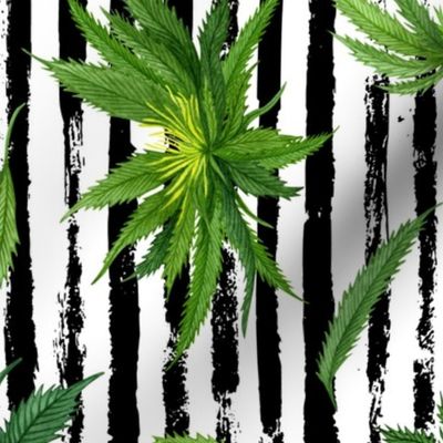 Cannabis on Distressed Stripe rotated - large scale