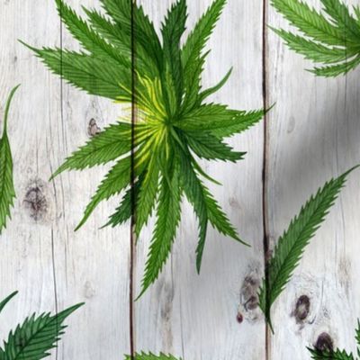 Cannabis on Wood rotated - large scale