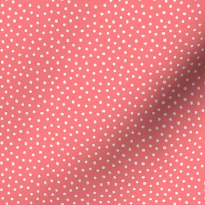White 2.5 mm polka dots on coral ground