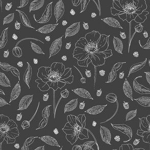 line drawing - anemone collection