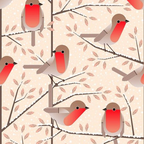 robins in winter