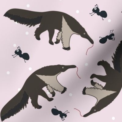 Anteaters and Ants All over