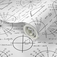 Trig and Triangles