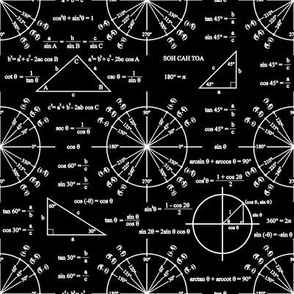 Trig and Triangles (Dark)