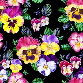 night summer garden with colorful pansy
