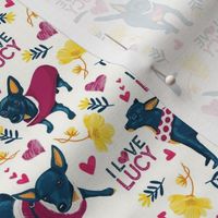 LUCY-pattern-SMALL