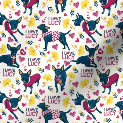 LUCY-pattern-SMALL